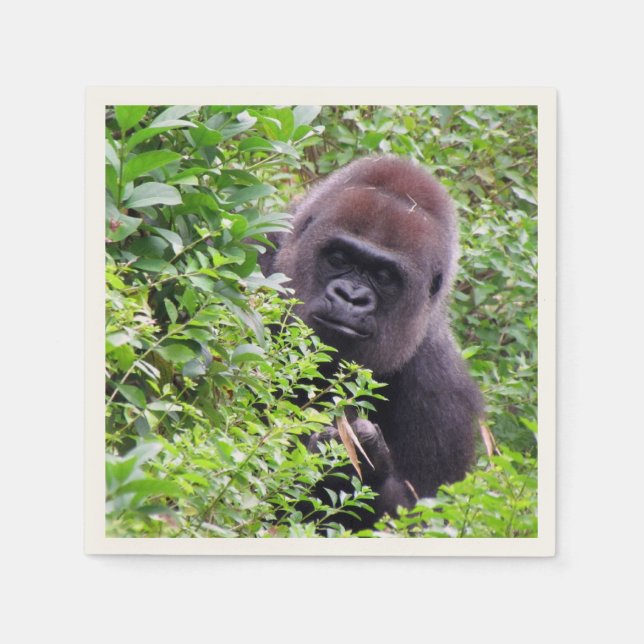 Guardanapo De Papel Peek-A-Boo Gorilla Napkins (Frente)