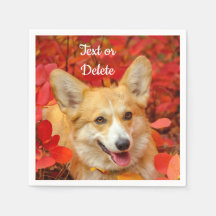 Pembroke Welsh Corgi Puppy Dog em Folhas Vermelhas