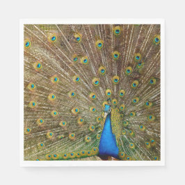 Guardanapo De Papel Penas da Cauda Peacock