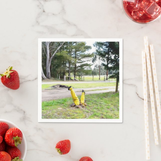 Guardanapo De Papel Perdido no Jardim de novo (Insitu)