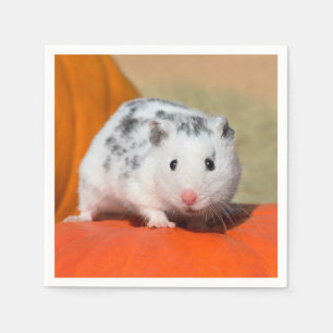 Guardanapo De Papel Pet Negro Branco De Hamster Sírio Bonito Sentado 