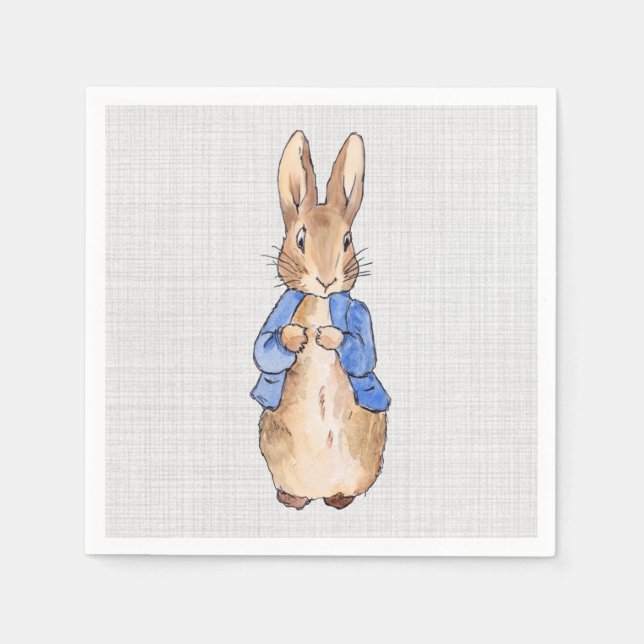 Guardanapo De Papel Peter com uma Cinza de fundo Linen (Frente)