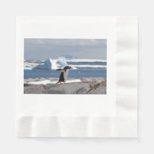 Guardanapo De Papel Pinguim em frente a um arco de gelo