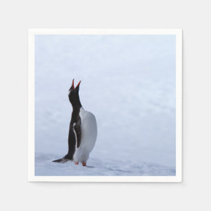 Guardanapo De Papel Pinguim gentoo