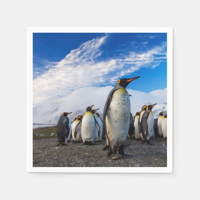 Guardanapo De Papel Pinguins Marching Blue Sky (Frente)