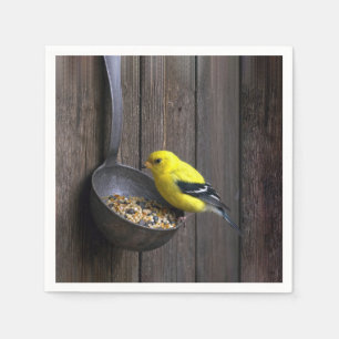 Guardanapo De Papel Pintassilgo Amarelo em Concha de Metal Enferrujada