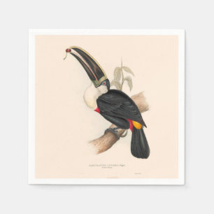 Guardanapo De Papel Pintura Antiquada de Pássaros Toucanos