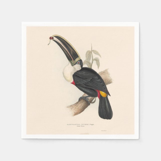 Guardanapo De Papel Pintura Antiquada de Pássaros Toucanos (Frente)