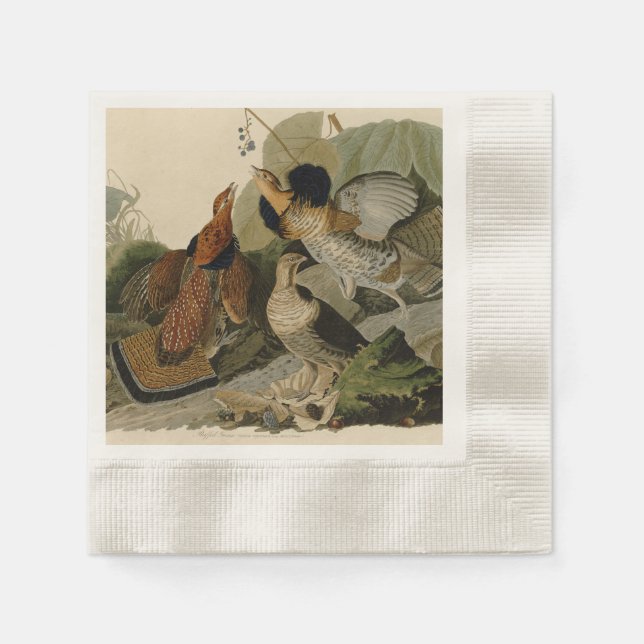 Guardanapo De Papel Pintura de Audubon de trio de Grouse Ruffed (Frente)