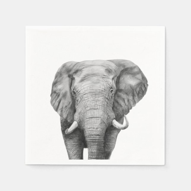 Guardanapo De Papel Plano de backup IV (Frente)