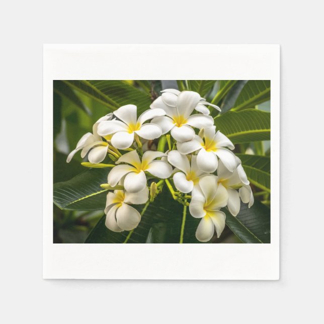 Guardanapo De Papel Plumeria de coquetel de uma ilha exótica Napkin (Frente)