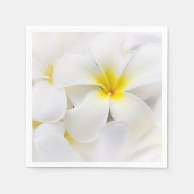 Guardanapo De Papel Plumeria Fllowers Hawaiian Frangipani Floral Fllow (Frente)