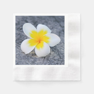 Guardanapo De Papel Plumeria Lumbar Travesseiro