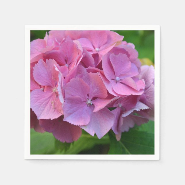 Guardanapo De Papel Pompom Rosa Hidrangea Hortensia Flor (Frente)