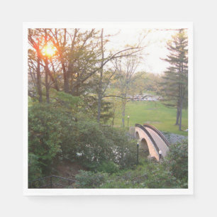 Guardanapo De Papel Ponte do Arco-íris Sunset no Grove City College