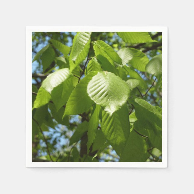 Guardanapo De Papel Primavera Birch deixa árvore verde (Frente)