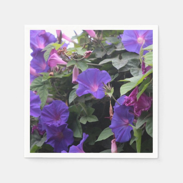 Guardanapo De Papel Primavera Morning Glories in Blue (Frente)