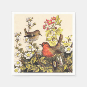 Guardanapo De Papel Primavera Robin Birds Red Birds