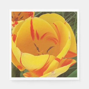 Guardanapo De Papel Primavera Tulipas Papel Nápoles