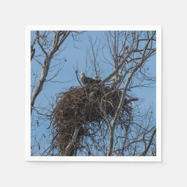 Guardanapo De Papel Problemas de Águia Dupla (Frente)