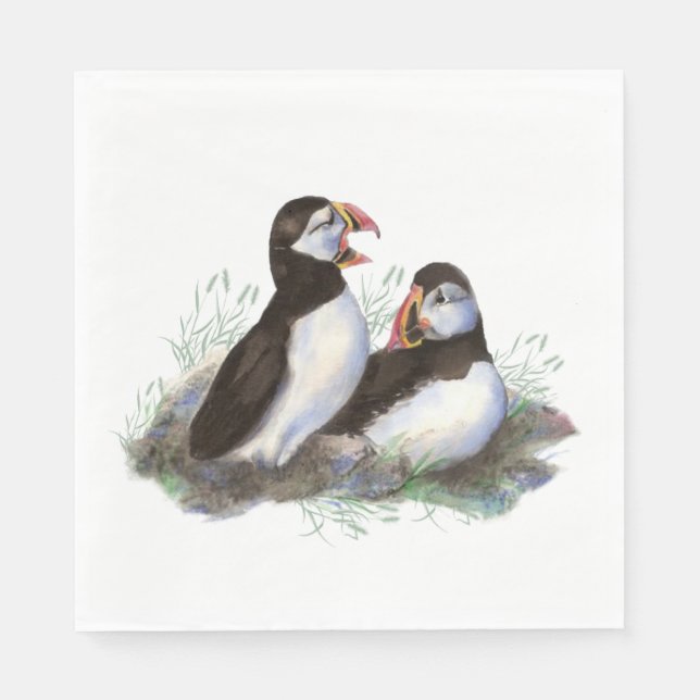 Guardanapo De Papel Puffin Ocean Bird Family Willife (Frente)