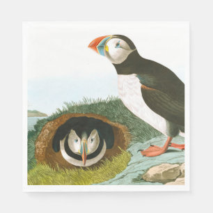 Guardanapo De Papel Puffin por John James Audubon