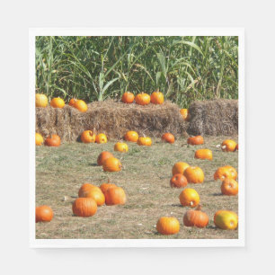 Guardanapo De Papel Pumpkins, Milho e Fotografia de Colheita de outono