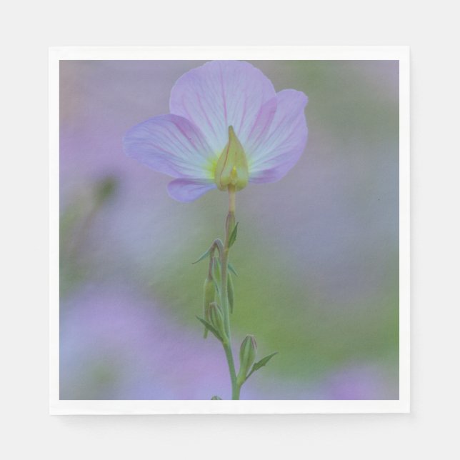 Guardanapo De Papel Purple Primrose (Frente)