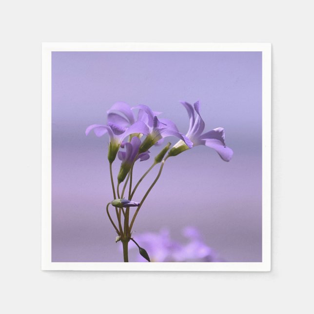 Guardanapo De Papel Púrpura Flores Papel Nápoles (Frente)