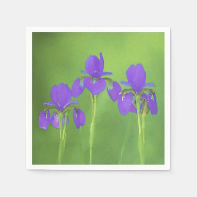 Guardanapo De Papel Púrpura Iris - Arte Flor Original (Frente)