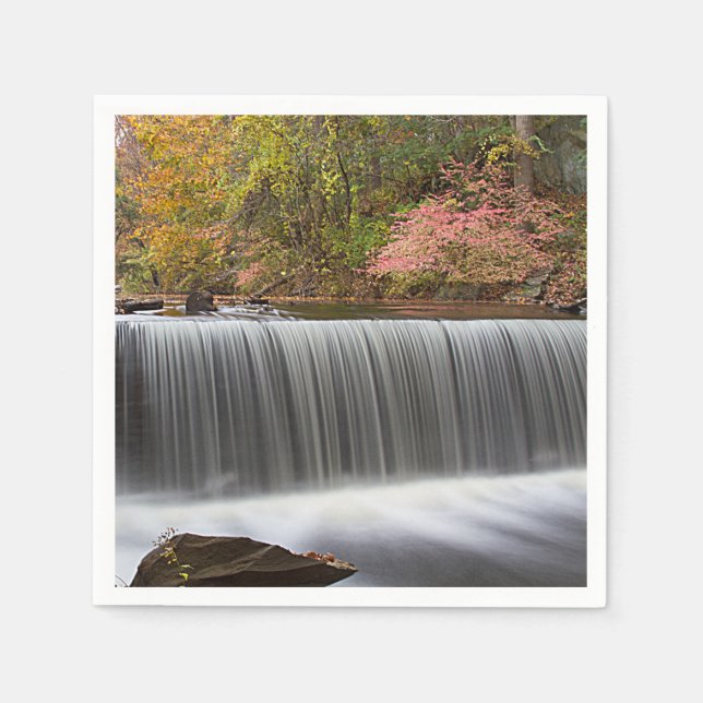 Guardanapo De Papel Queda de cascata em VanderBuild (Frente)