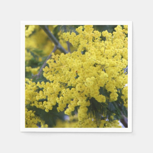 Guardanapo De Papel Ramo de mimosa (Frente)