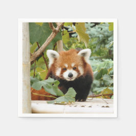 Guardanapo De Papel Red Panda