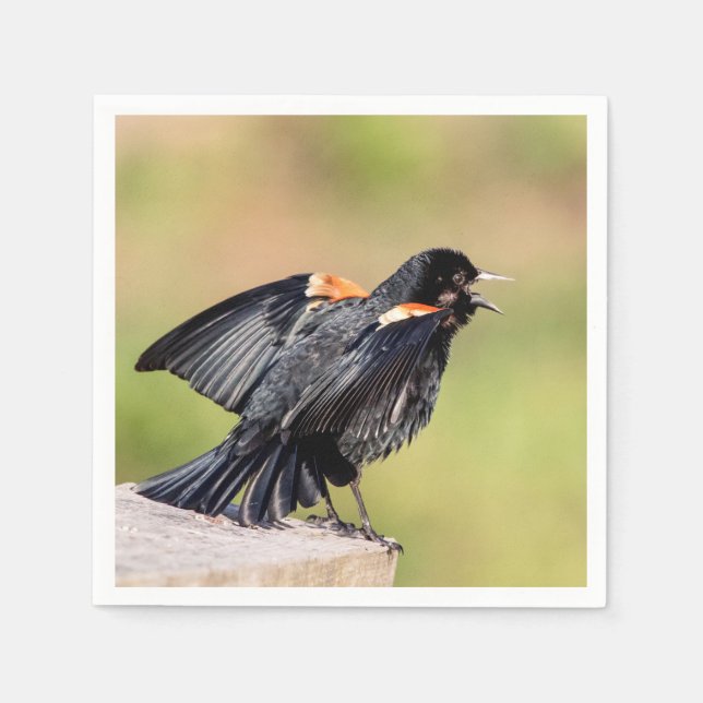 Guardanapo De Papel Red Winged Blackbird Singing (Frente)