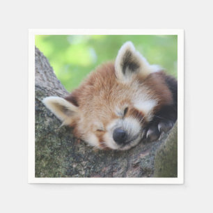 Guardanapo De Papel RedPanda20150705