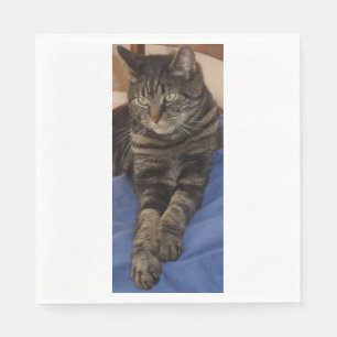 Guardanapo De Papel Regal Dave White Standard Luncheon Paper Napkins