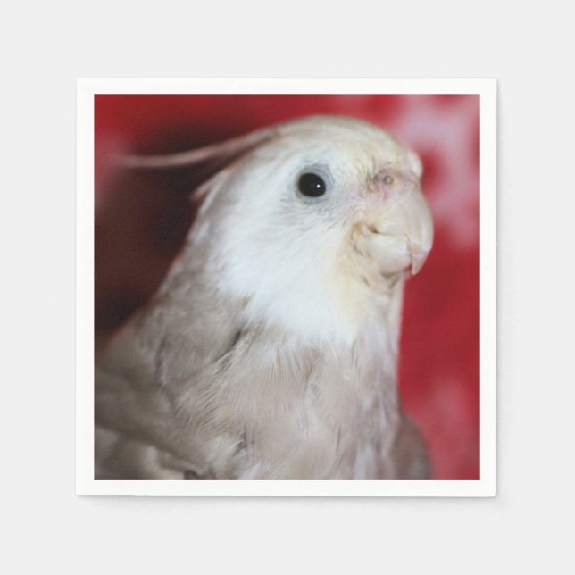 Guardanapo De Papel Réplicas (Frente)