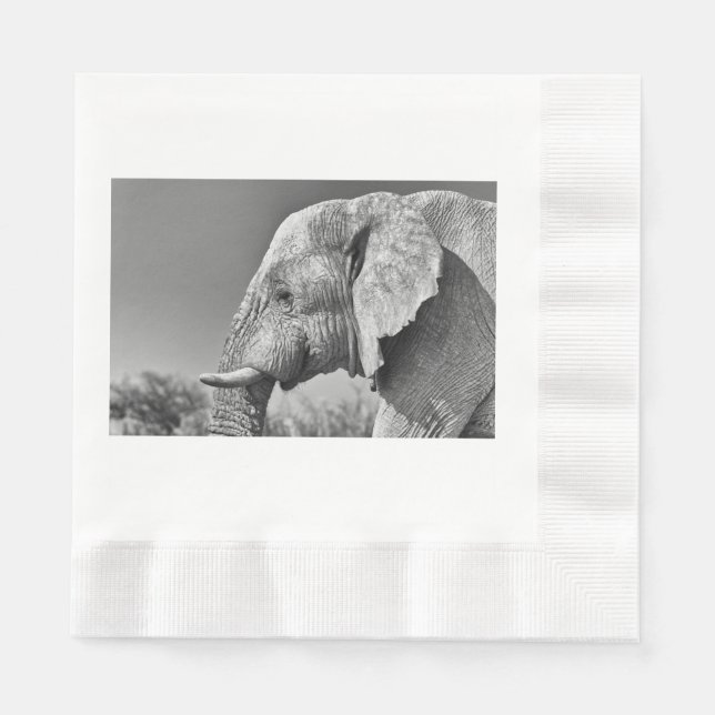 Guardanapo De Papel Retrato elefante (Frente)