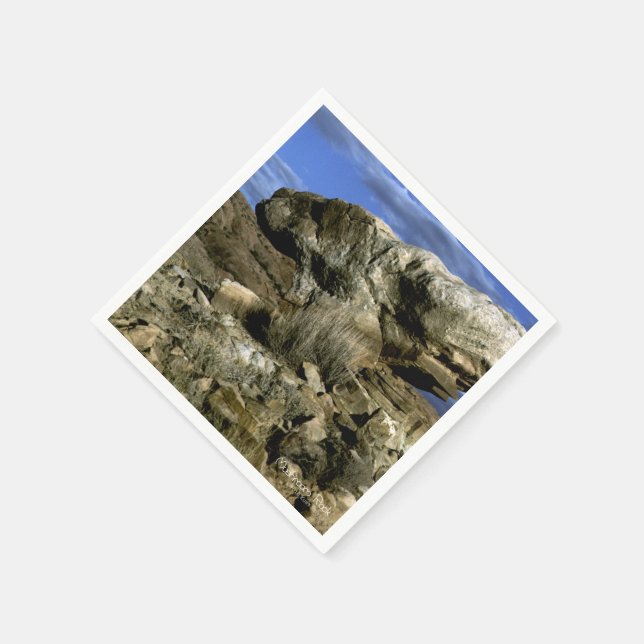 Guardanapo De Papel Rocha Mushroom (Canto)