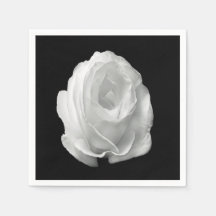 rosa-branca-no-fundo-preto