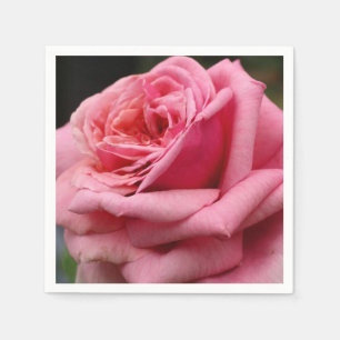 Guardanapo De Papel Rosa Rosa Rosa Rosa I Bonito Fotografia Floral