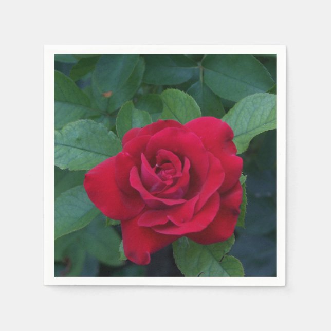 Guardanapo De Papel Rosa Vermelha de Perto (Frente)