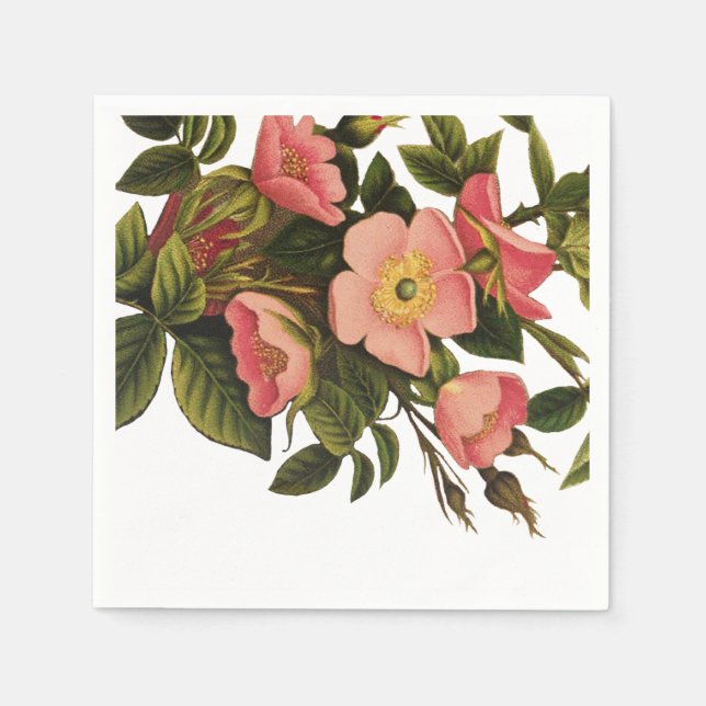 Guardanapo De Papel Rosas Vintage Lindas Botânica Rosa (Frente)