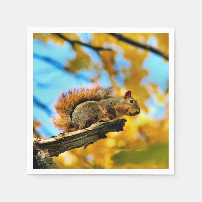 Guardanapo De Papel Salto (Frente)