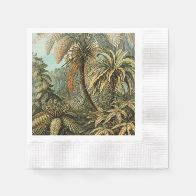 Guardanapo De Papel Samambaia Palmeira Arte Botânica Antiga de Samamba (Frente)