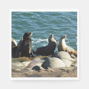 Guardanapo De Papel San Diego Sea Lions