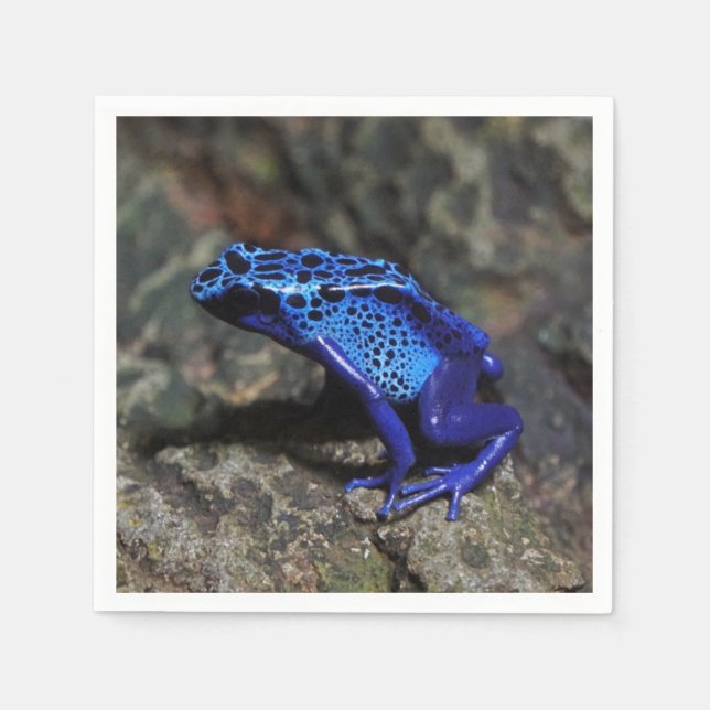 Guardanapo De Papel Sapo de Dart Azul, Sapo Azul Brilhante (Frente)