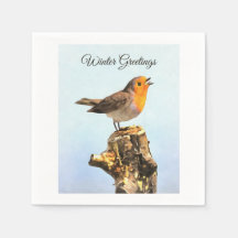 Saudações de Inverno. Robin cantando 