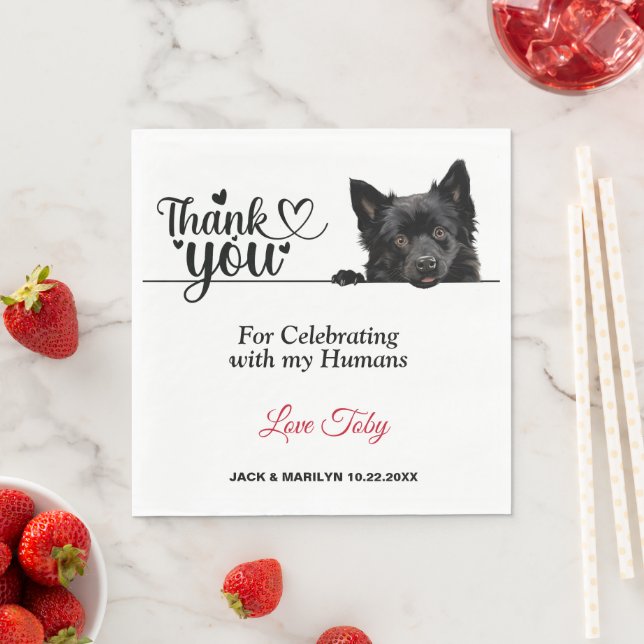 Guardanapo De Papel Schipperke Dog Paper Napkins (Insitu)