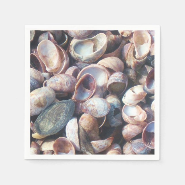 Guardanapo De Papel Seashell Napkin (Frente)